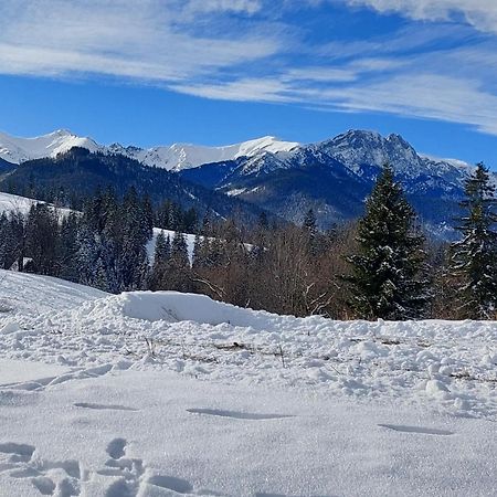 דירות זקופאנה Tatrzanska Polana - Tatra Mountain View, Free Parking & Wifi מראה חיצוני תמונה