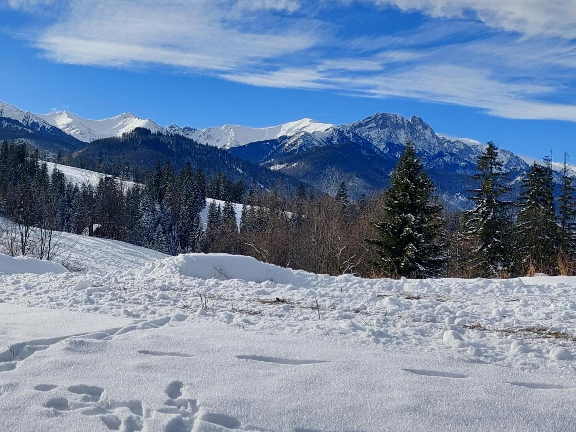 דירות זקופאנה Tatrzanska Polana - Tatra Mountain View, Free Parking & Wifi מראה חיצוני תמונה